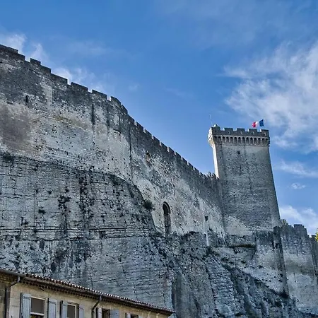 Beaucaire Cocoon 2/quais/cite Medievale/nature * Beaucaire (Gard)